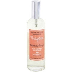 Niagara - Patchouly Vanillé by Mandelys perfume bottle