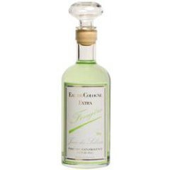 Jean des Salines - Fougère by Laboratoires Cadentia perfume bottle