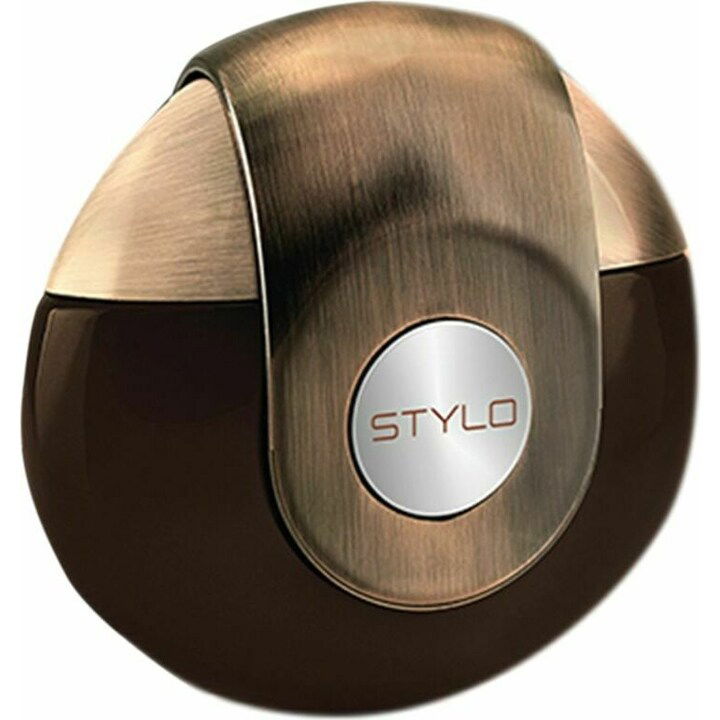 Stylo pour Homme