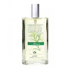 Mimosa by Woods of Windsor perfume bottle