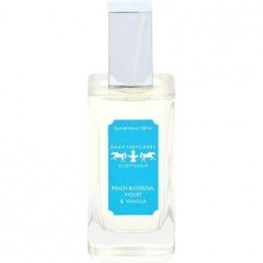 Peach Blossom, Violet & Vanilla by Dame Perfumery Scottsdale perfume bottle