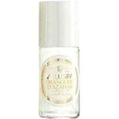 Maison Blanc - Orangerie d'Azahar by Voluspa perfume bottle
