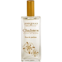 Ghadames by Amerigo perfume bottle
