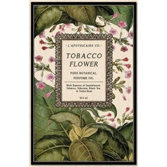 Tobacco Flower