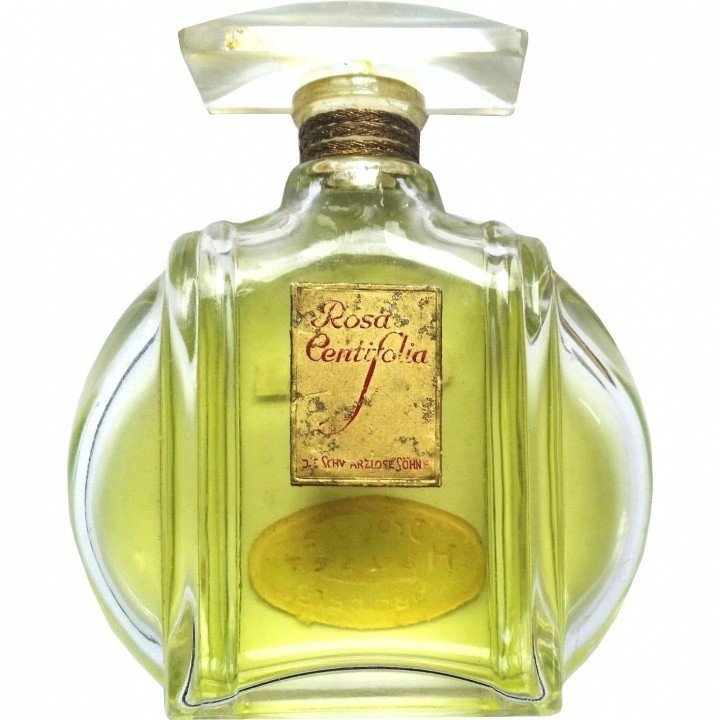 Rosa Centifolia (1910) by J.F. Schwarzlose Berlin perfume bottle