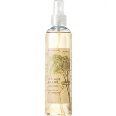 Rice Flower and Shea by Bath & Body Works perfume bottle