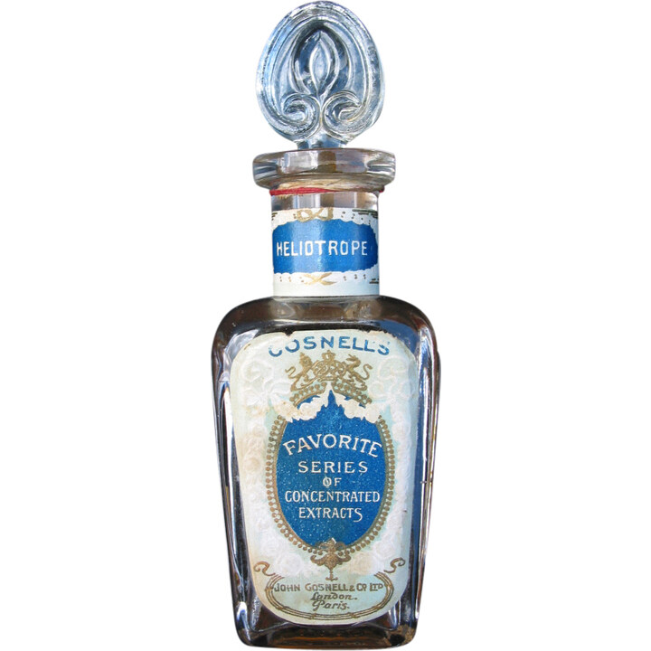 Favorite Series of Concentrated Extracts - Heliotrope