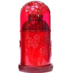 Everlasting by Création Lamis perfume bottle