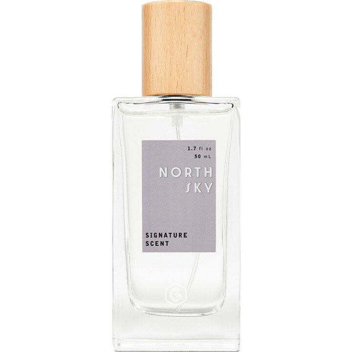 North Sky EDP by Good Chemistry perfume bottle