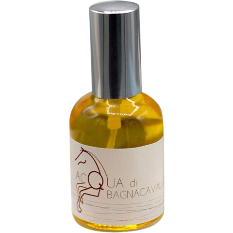 Acqua di Bagnacavallo by Olfattiva perfume bottle