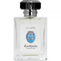 Io Capri EDT by Carthusia perfume bottle