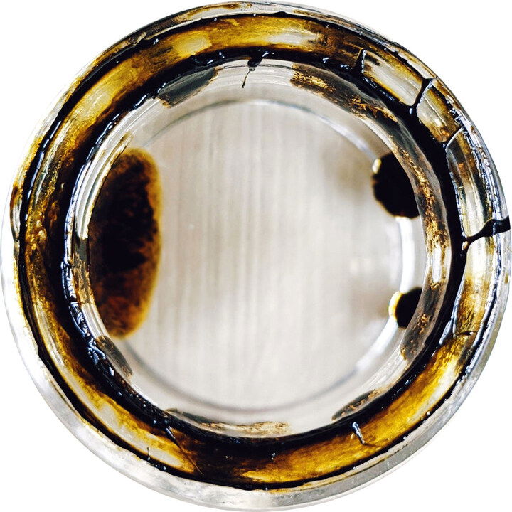 Pisces Rising by Wild Veil Perfume perfume bottle