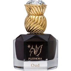 Oud by Plethora / بـلـيـثـورا perfume bottle