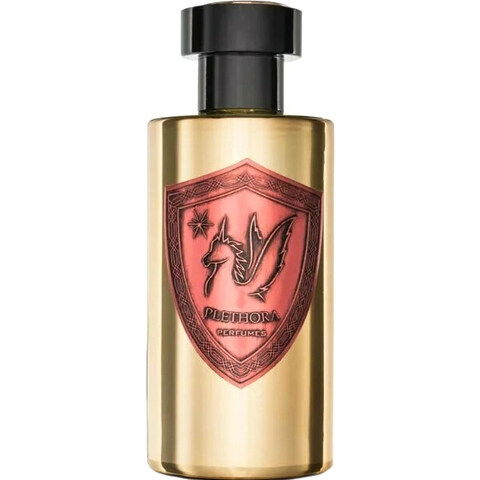 Noir by Plethora / بـلـيـثـورا perfume bottle