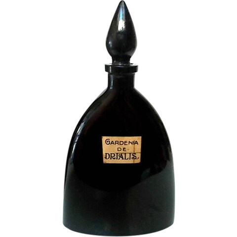 Gardenia de Drialis by Drialys / Drialis perfume bottle