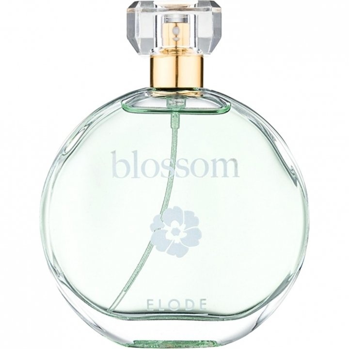 Blossom by Elode perfume bottle