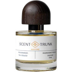Aquione by Scent Trunk perfume bottle