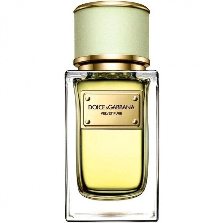 Velvet Pure by Dolce & Gabbana perfume bottle