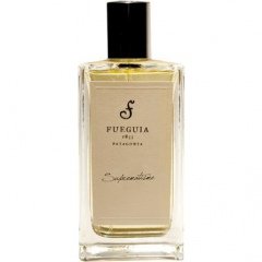 Suprematisme by Fueguia 1833 perfume bottle