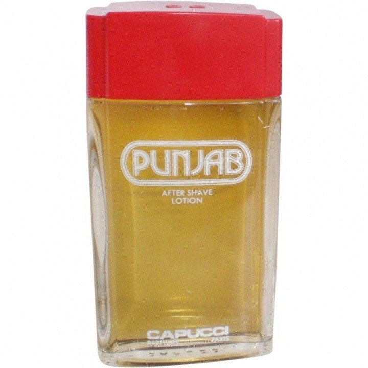 Punjab (After Shave Lotion) by Roberto Capucci perfume bottle