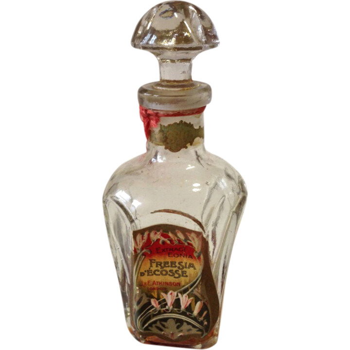 Freesia d'Écosse by Atkinsons perfume bottle
