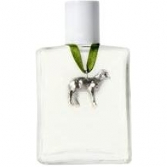 Jude Kenny Ltd. Edition - Scented Tea Leaf by Wickle perfume bottle