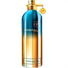 Aoud Lagoon by Montale perfume bottle