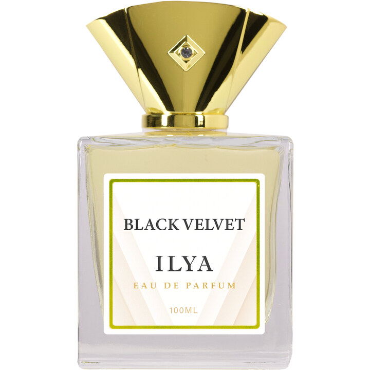 Black Velvet by Ilya perfume bottle
