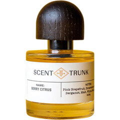 Berry Citrus by Scent Trunk perfume bottle