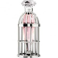 Caged Dream by Lipsy perfume bottle
