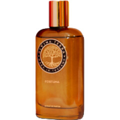 Fortuna by DiVina Terra perfume bottle