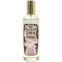 Fleur de cerisier by Honoré Payan perfume bottle