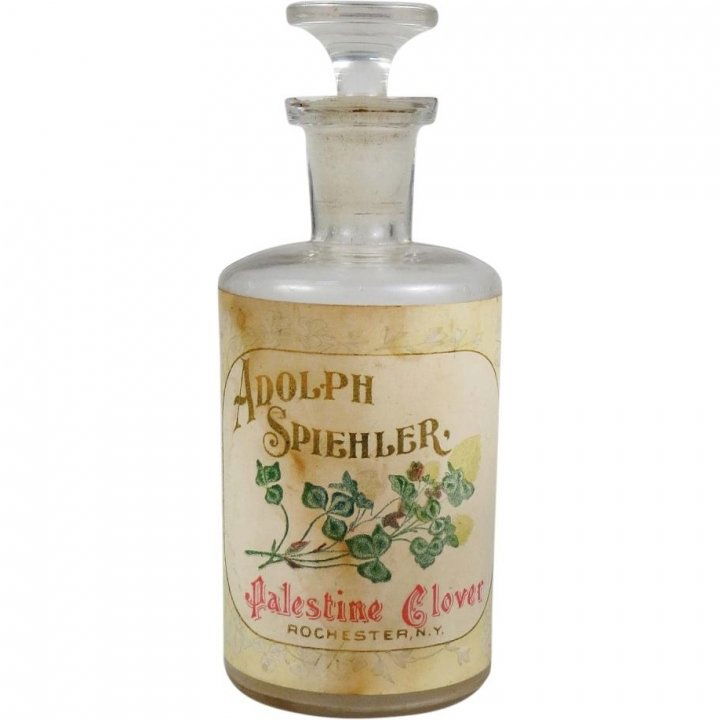 Palestine Clover by Adolph Spiehler perfume bottle