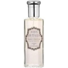 Cedro di Pantelleria / Cedar of Pantelleria