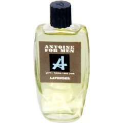Antoine for Men - Lavender by Antoine perfume bottle
