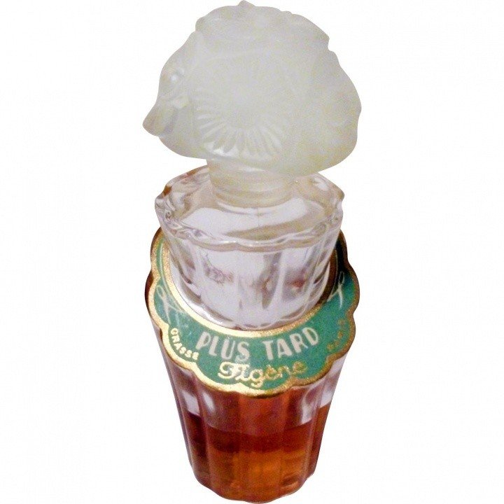 Plus Tard by Figène perfume bottle