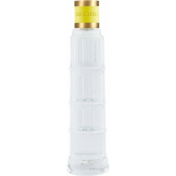 Citrus Splash (Body Mist) by Birkholz perfume bottle