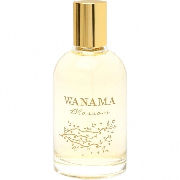 Blossom by Wanama perfume bottle