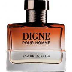 Digne / Достойный