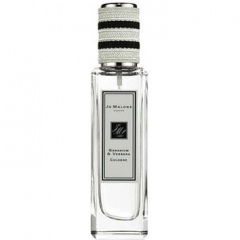 Geranium & Verbena by Jo Malone London perfume bottle