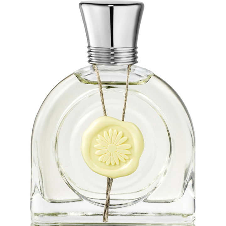 Fleur Lumière by M. Micallef perfume bottle