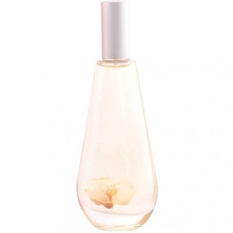 Desig by Flor d'Ametler / Rover Mallorca / Bernat Vallory perfume bottle