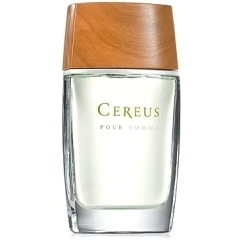 Pour Homme N° 5 / N° 6 by Cereus perfume bottle