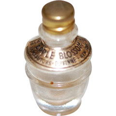 Apple Blossom by Duvinne perfume bottle