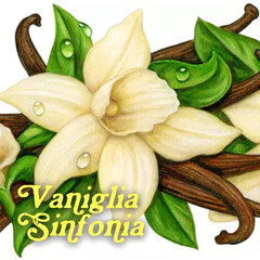 Vaniglia Sinfonia by Pulp Fragrance perfume bottle