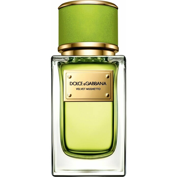 Velvet Mughetto by Dolce & Gabbana perfume bottle