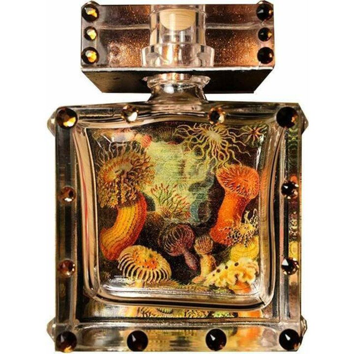 Pacific Marine by Meleg Perfumes perfume bottle