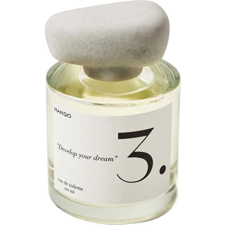 The Craft Line - 3. Develop Your Dream by Mango perfume bottle