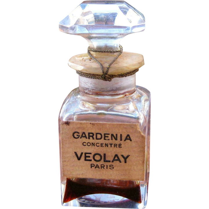 Gardenia Concentré by Violet / Veolay perfume bottle