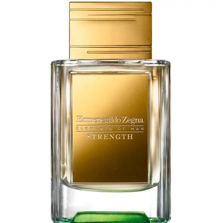 Elements of Man - Strength by Ermenegildo Zegna perfume bottle